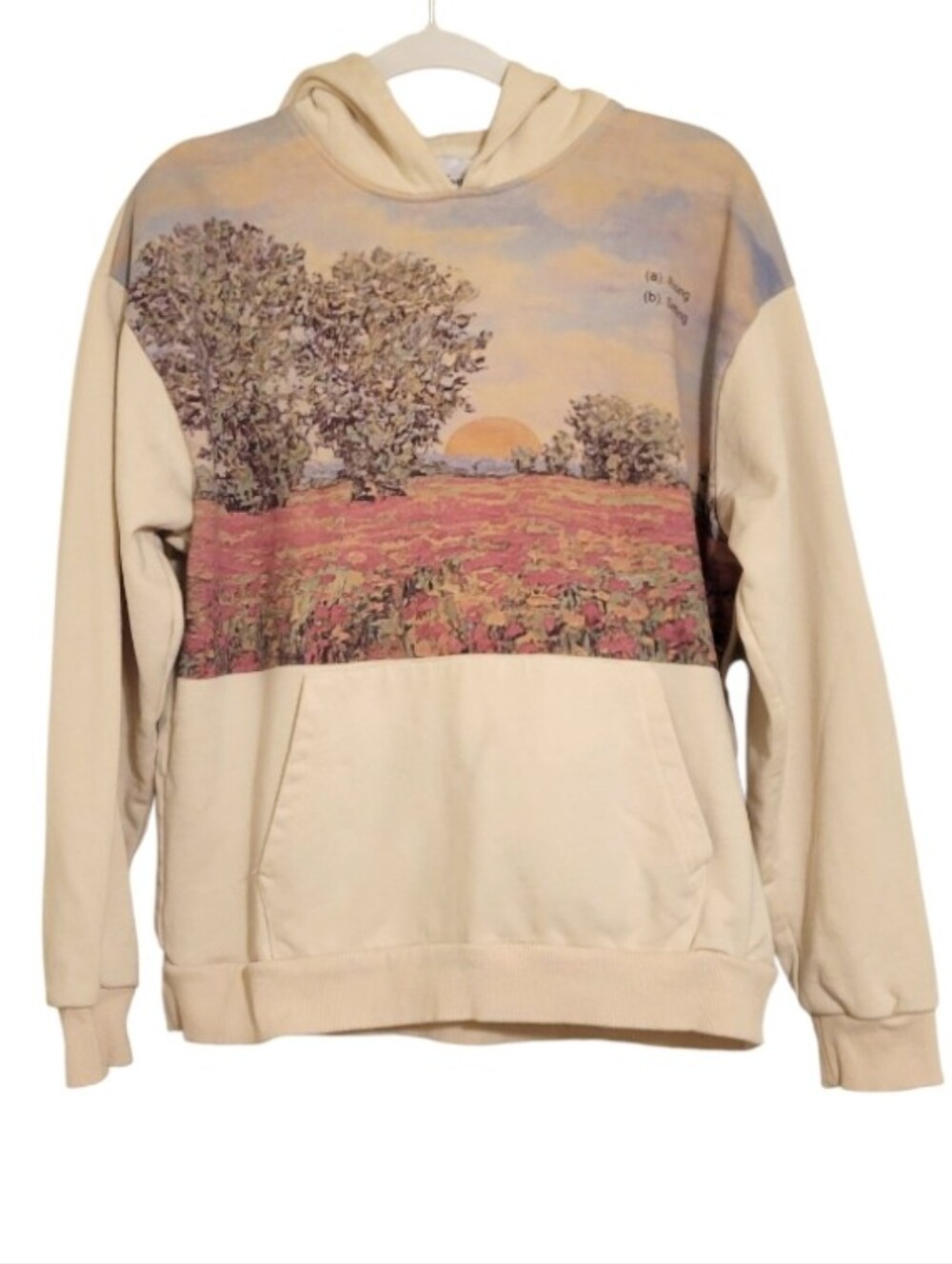 Profound Scenic Sunset Hoodie